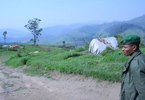 Congo landscape